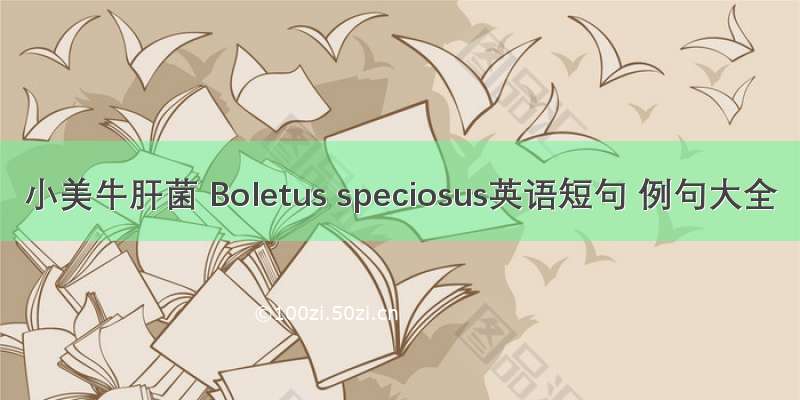 小美牛肝菌 Boletus speciosus英语短句 例句大全
