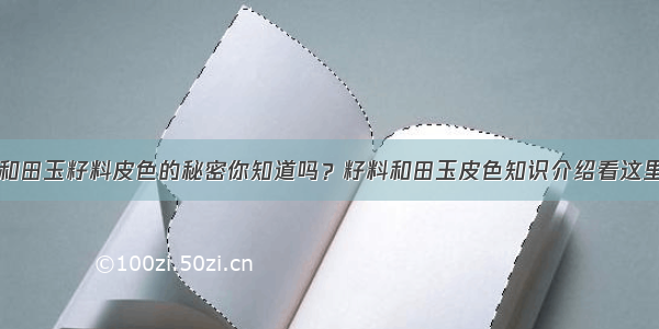 和田玉籽料皮色的秘密你知道吗？籽料和田玉皮色知识介绍看这里