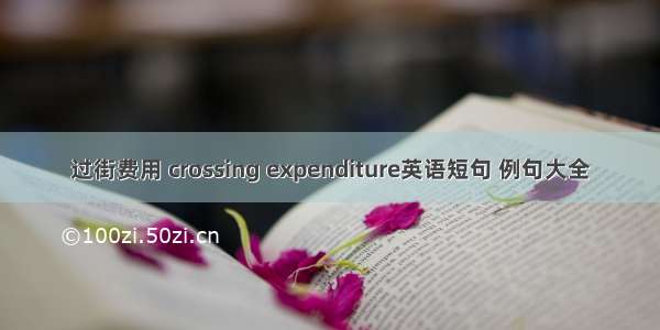 过街费用 crossing expenditure英语短句 例句大全