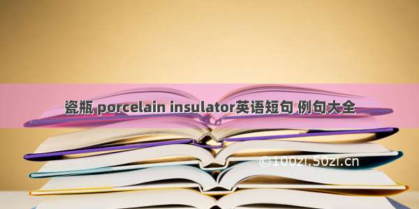 瓷瓶 porcelain insulator英语短句 例句大全