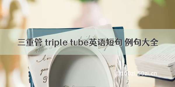 三重管 triple tube英语短句 例句大全