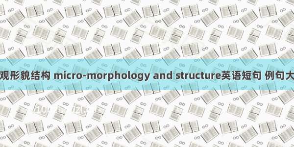 微观形貌结构 micro-morphology and structure英语短句 例句大全