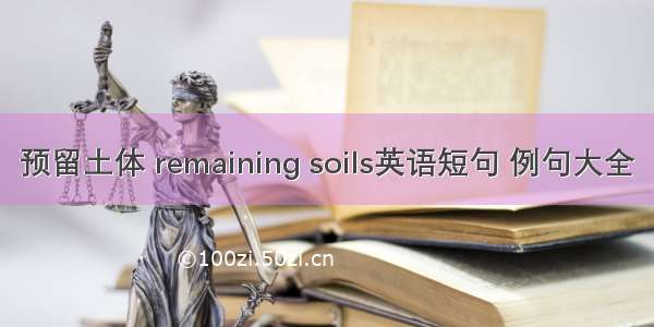 预留土体 remaining soils英语短句 例句大全