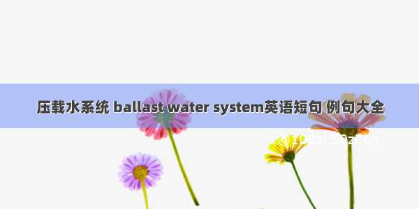 压载水系统 ballast water system英语短句 例句大全