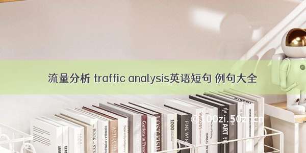 流量分析 traffic analysis英语短句 例句大全