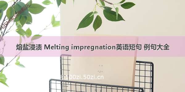 熔盐浸渍 Melting impregnation英语短句 例句大全