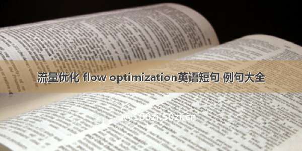 流量优化 flow optimization英语短句 例句大全