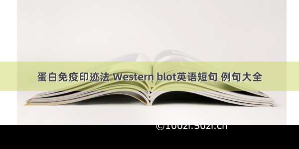 蛋白免疫印迹法 Western blot英语短句 例句大全