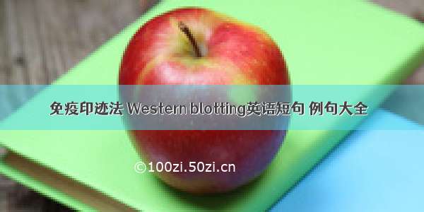 免疫印迹法 Western blotting英语短句 例句大全