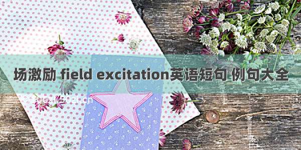 场激励 field excitation英语短句 例句大全