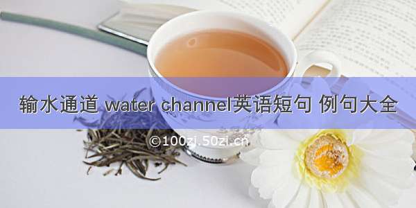 输水通道 water channel英语短句 例句大全