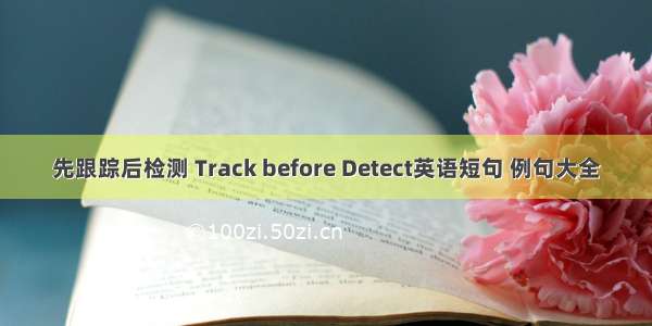 先跟踪后检测 Track before Detect英语短句 例句大全