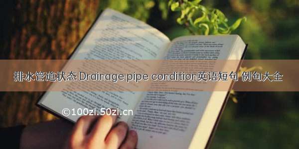 排水管道状态 Drainage pipe condition英语短句 例句大全