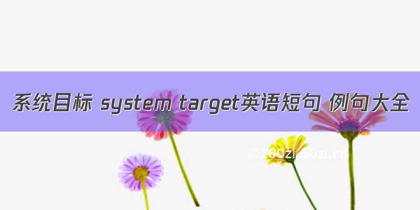 系统目标 system target英语短句 例句大全