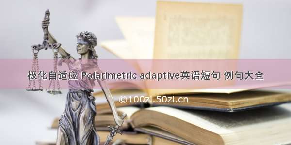 极化自适应 Polarimetric adaptive英语短句 例句大全