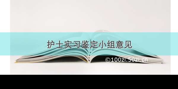 护士实习鉴定小组意见