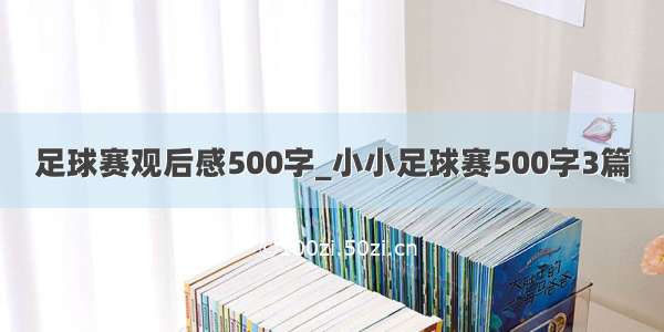 足球赛观后感500字_小小足球赛500字3篇