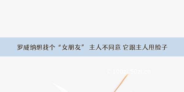 罗威纳想找个“女朋友” 主人不同意 它跟主人甩脸子