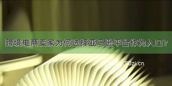 跨境电商卖家为何选择亚马逊平台作为入口？