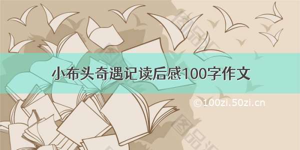 小布头奇遇记读后感100字作文