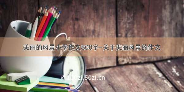 美丽的风景小学作文800字-关于美丽风景的作文