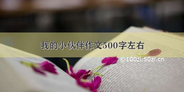 我的小伙伴作文500字左右