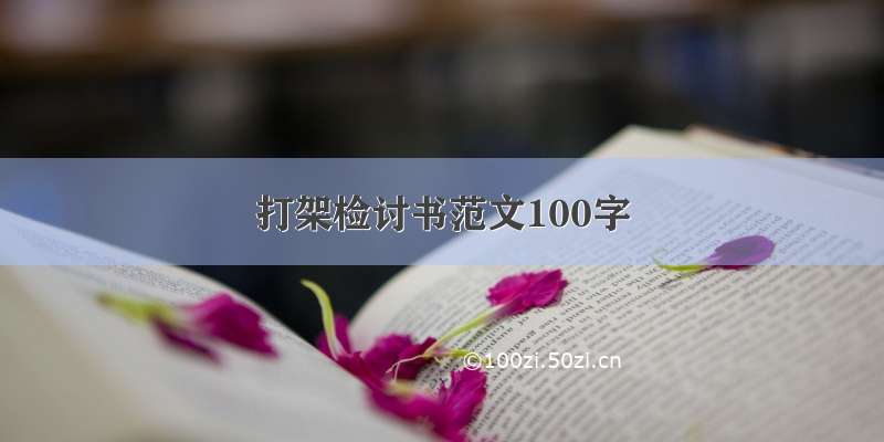 打架检讨书范文100字