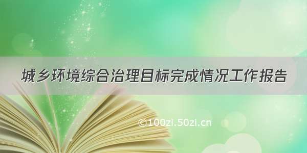 城乡环境综合治理目标完成情况工作报告