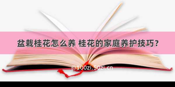 盆栽桂花怎么养 桂花的家庭养护技巧？