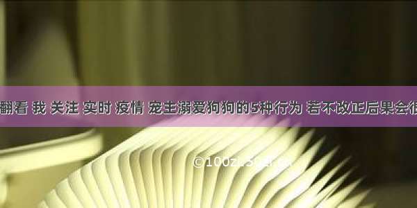 刷新 翻看 我 关注 实时 疫情 宠主溺爱狗狗的5种行为 若不改正后果会很严重