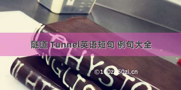 隧道 Tunnel英语短句 例句大全