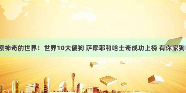 探索神奇的世界！世界10大傻狗 萨摩耶和哈士奇成功上榜 有你家狗吗？