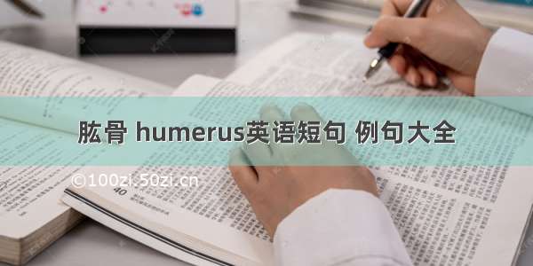 肱骨 humerus英语短句 例句大全