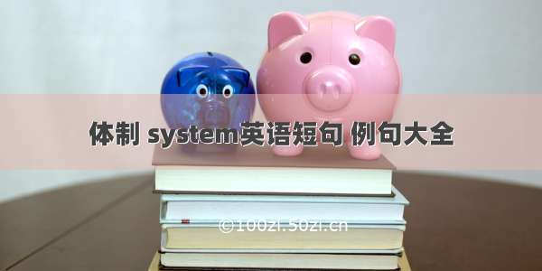 体制 system英语短句 例句大全