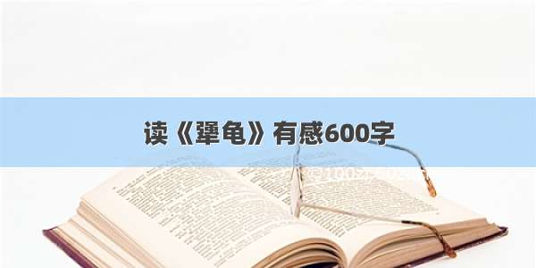 读《犟龟》有感600字