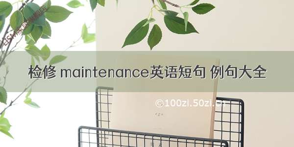 检修 maintenance英语短句 例句大全