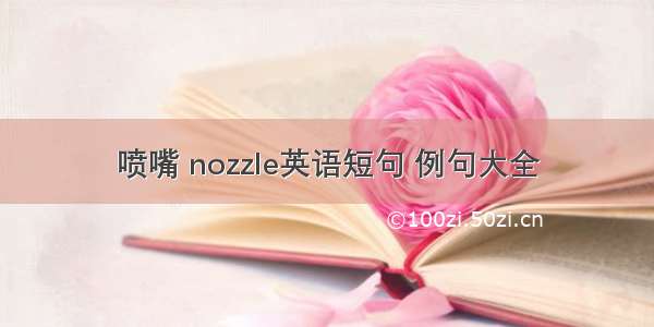 喷嘴 nozzle英语短句 例句大全