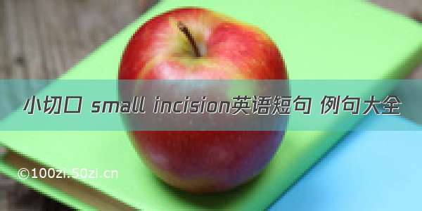 小切口 small incision英语短句 例句大全