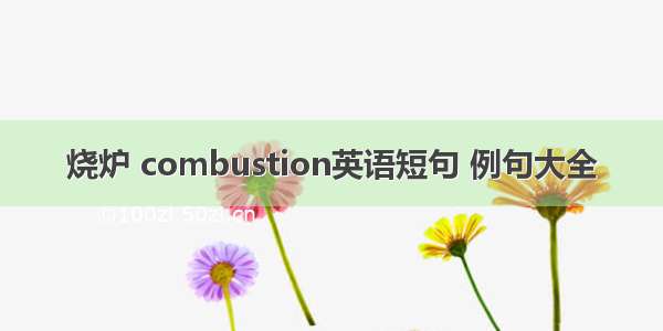 烧炉 combustion英语短句 例句大全