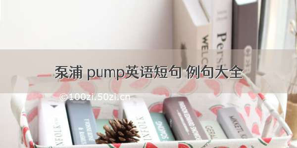 泵浦 pump英语短句 例句大全