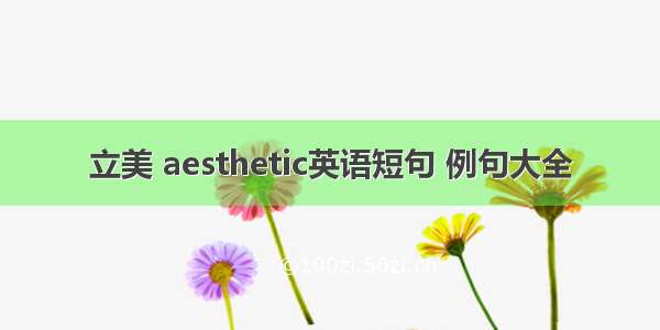 立美 aesthetic英语短句 例句大全