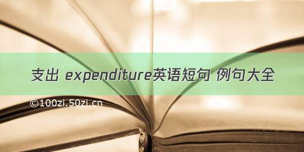 支出 expenditure英语短句 例句大全