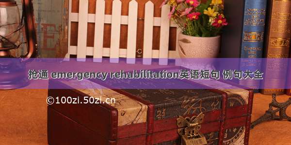 抢通 emergency rehabilitation英语短句 例句大全