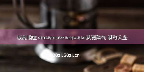 紧急响应 emergency response英语短句 例句大全