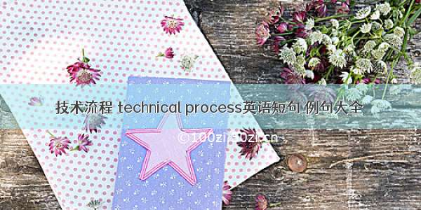 技术流程 technical process英语短句 例句大全