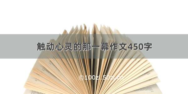 触动心灵的那一幕作文450字