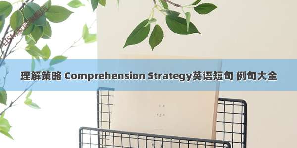 理解策略 Comprehension Strategy英语短句 例句大全