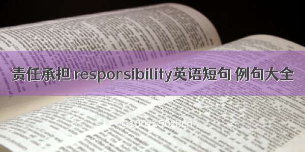 责任承担 responsibility英语短句 例句大全