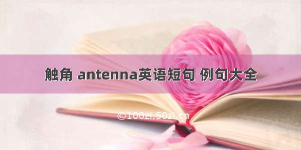 触角 antenna英语短句 例句大全