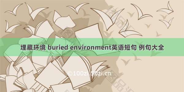 埋藏环境 buried environment英语短句 例句大全